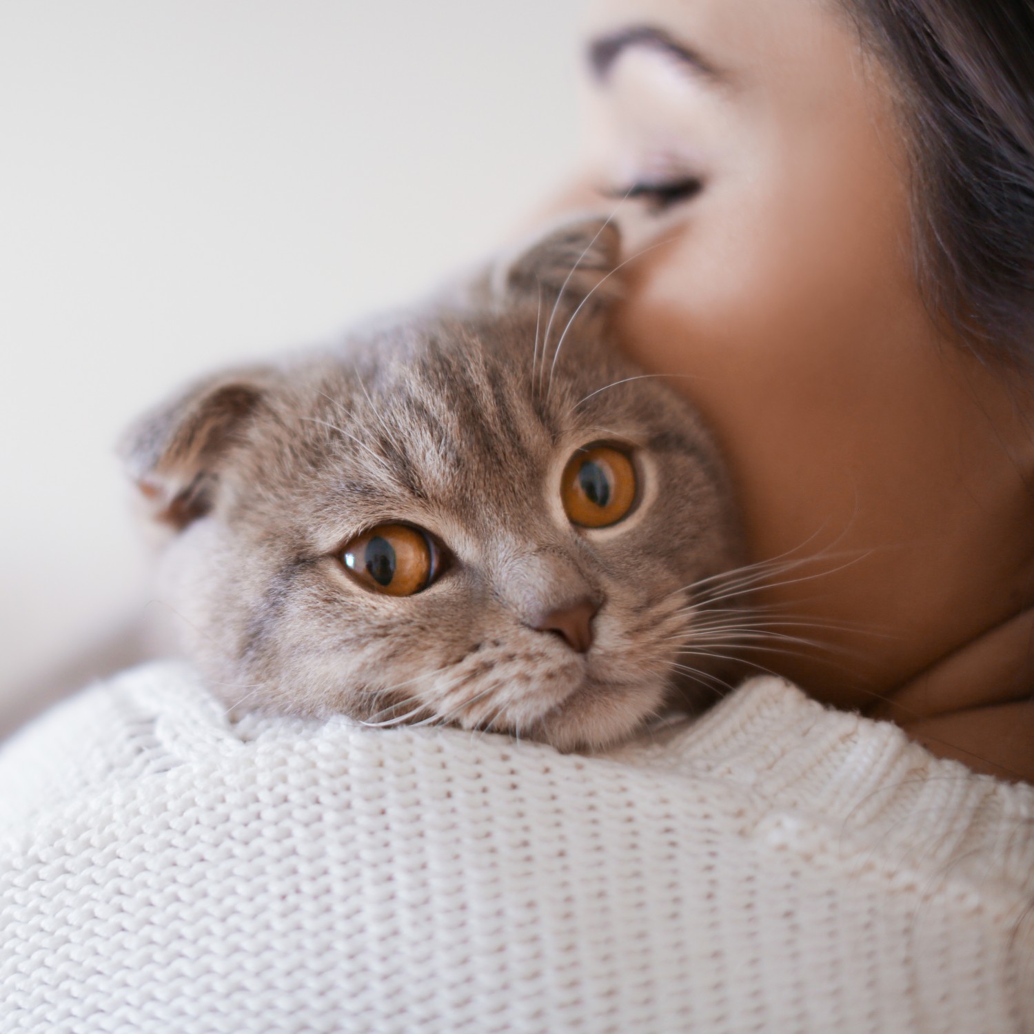 Person Holding Cat