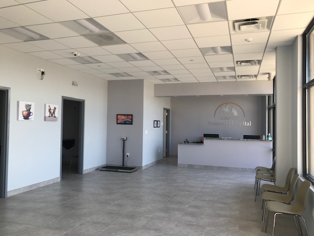 Reception / Waiting Room